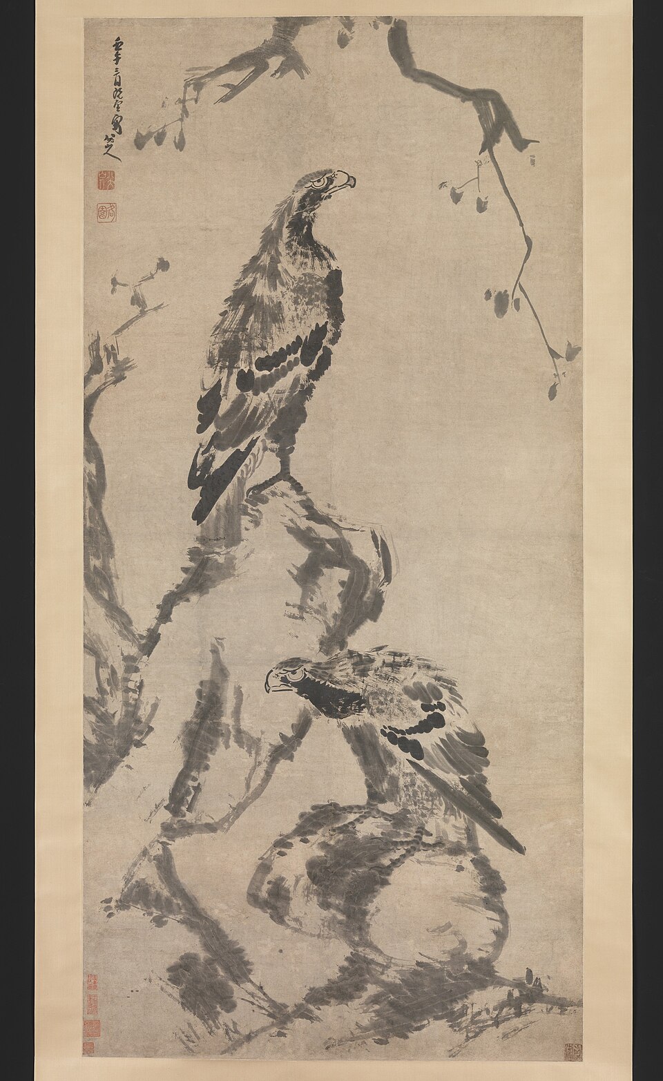 Two eagles