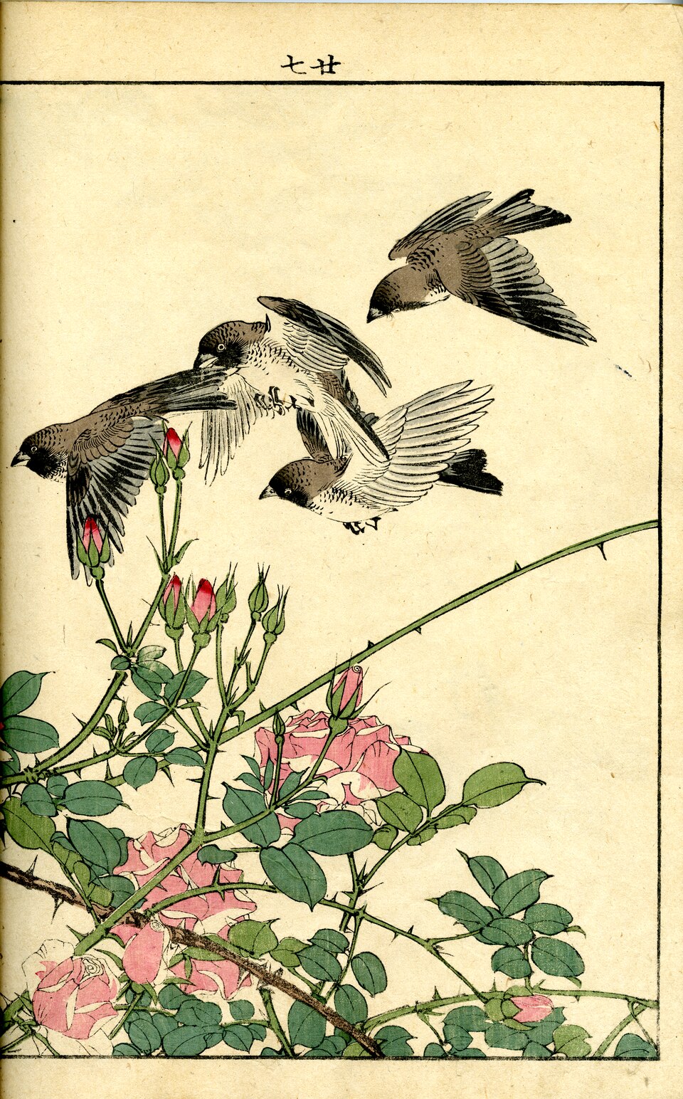 Keinen Kacho Gafu (Picture Album of Flowers and Birds by Keinan)