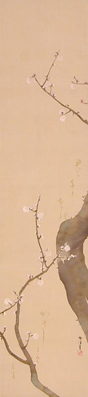 Plum Blossoms