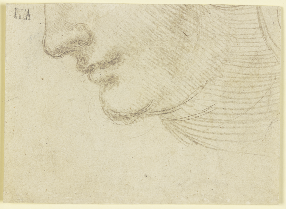 Study of the Head of a Woman