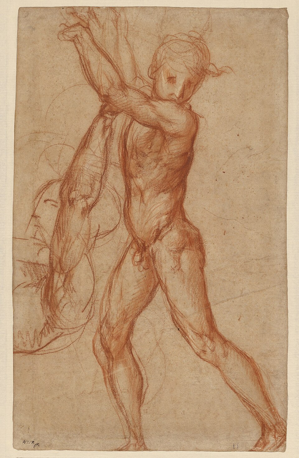 Study of a Nude Boy, Partial Figure Study (recto); Study of a Seated Man (verso)