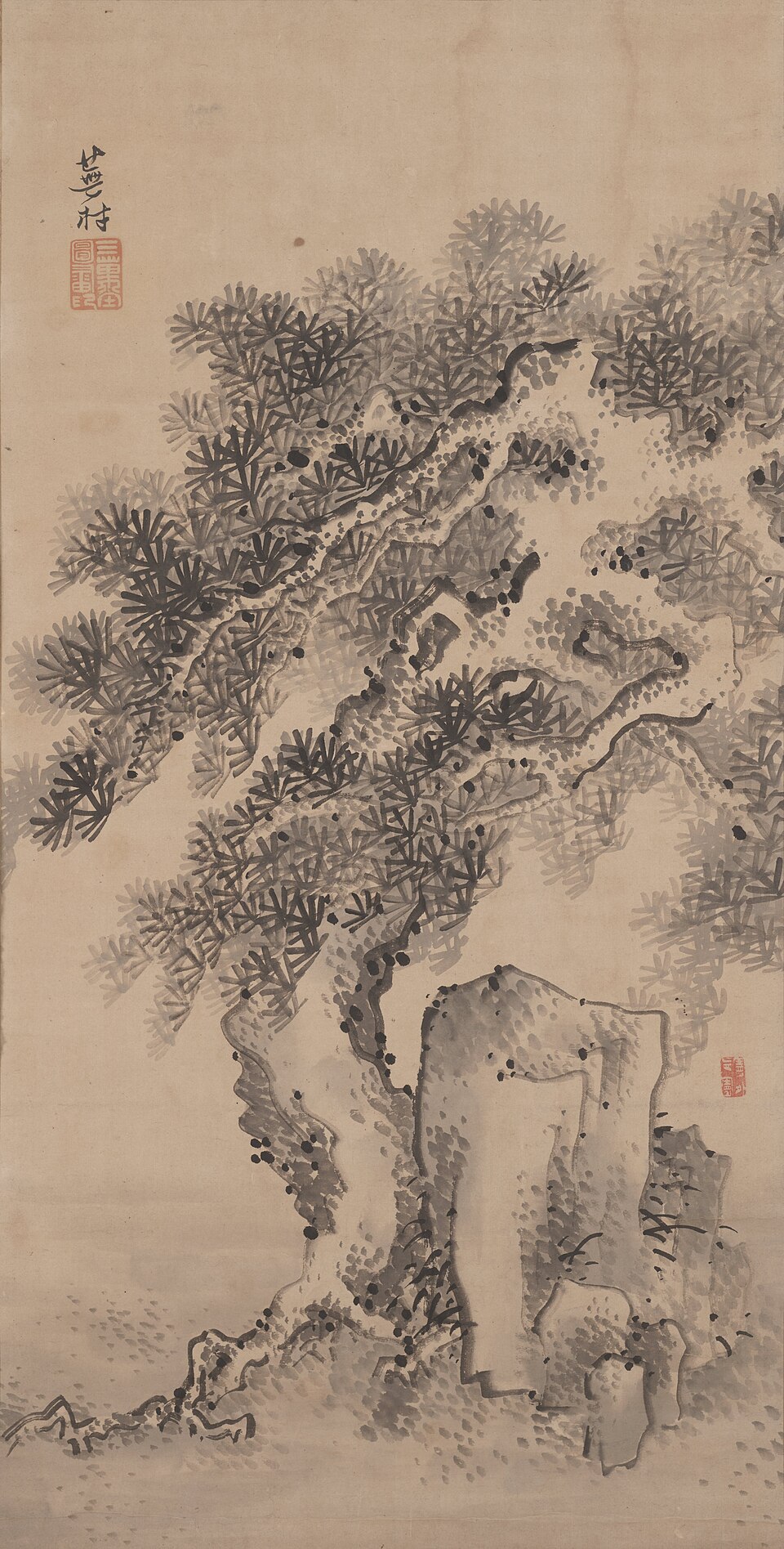 Pine Tree and Rock
