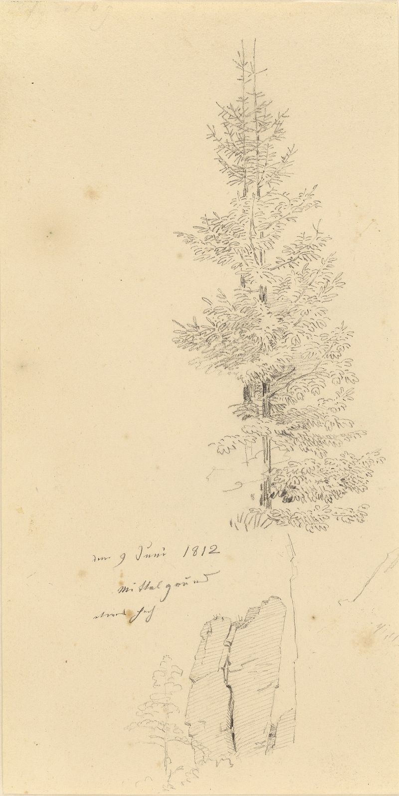 Study of Pine Trees and a Rock (recto); Landscape (verso)
