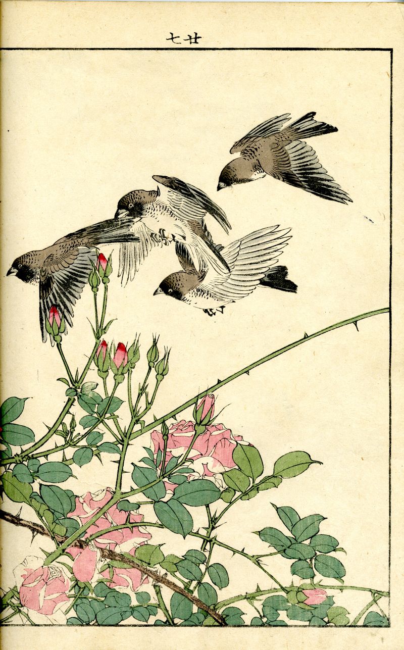 Keinen Kacho Gafu (Picture Album of Flowers and Birds by Keinan)