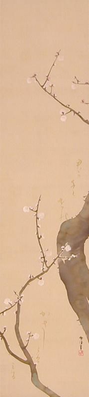 Plum Blossoms