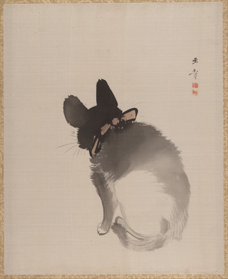 Cat Seen from Behind
