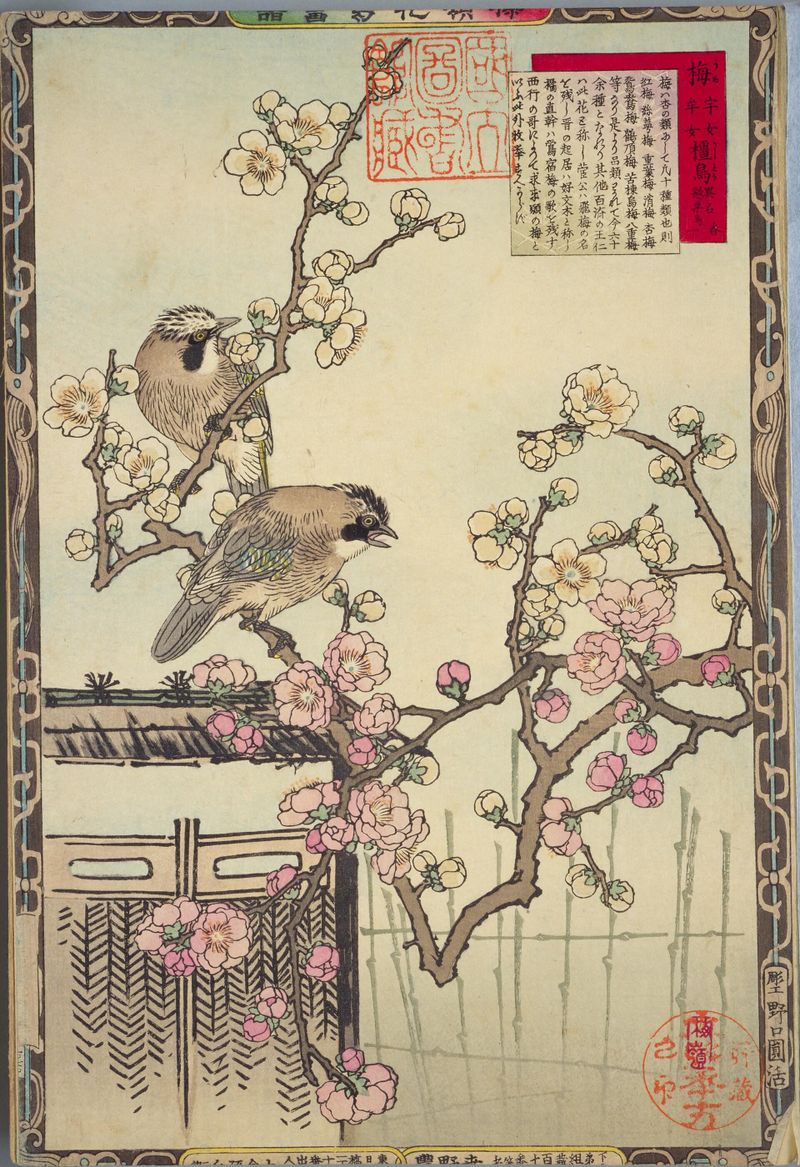 楳嶺花鳥画譜
