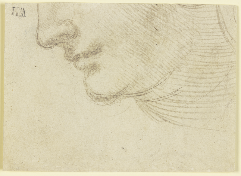 Study of the Head of a Woman