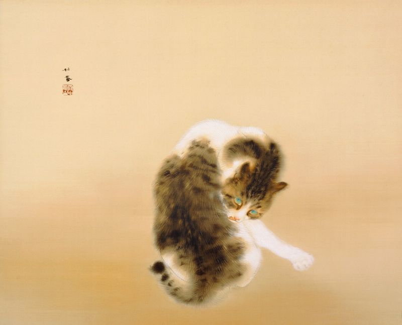 班猫