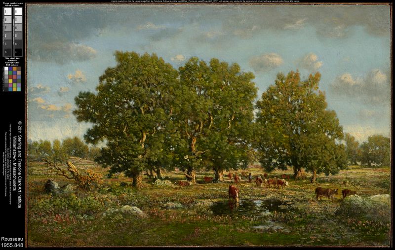 Landscape with Cows and Oaks