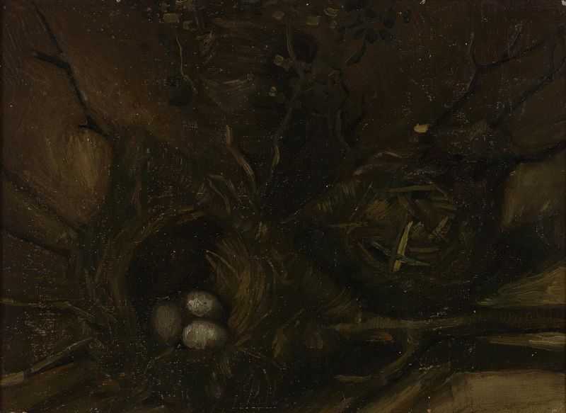 Birds' Nests