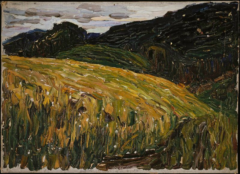 Kochel, Mountain Meadow