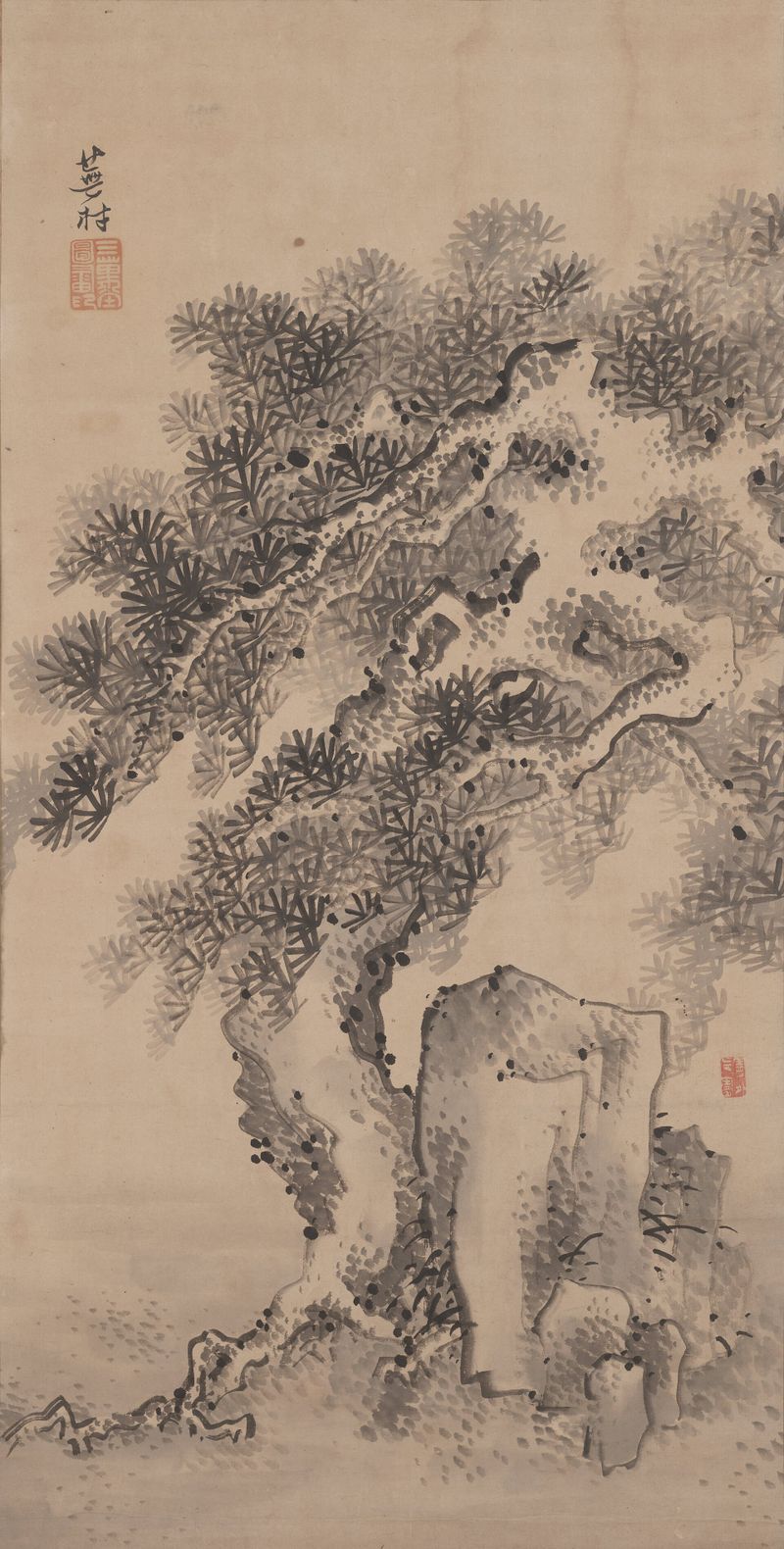 Pine Tree and Rock